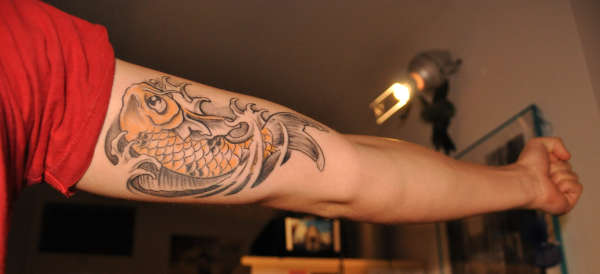 Koi Fish tattoo