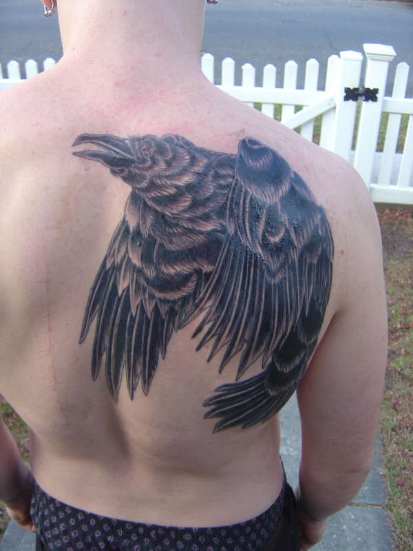 Raven tattoo