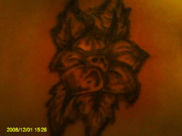 another pic of the rose i did on my cousins back tattoo
