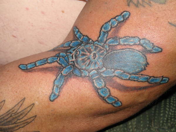 blue spider tattoo