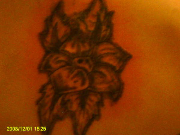 i tattooed this flower on my cousin christinas back tattoo
