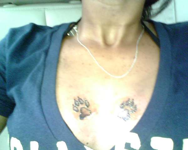 paws tattoo