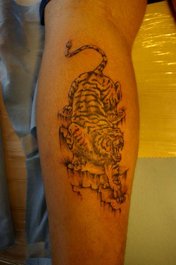 tiger tattoo