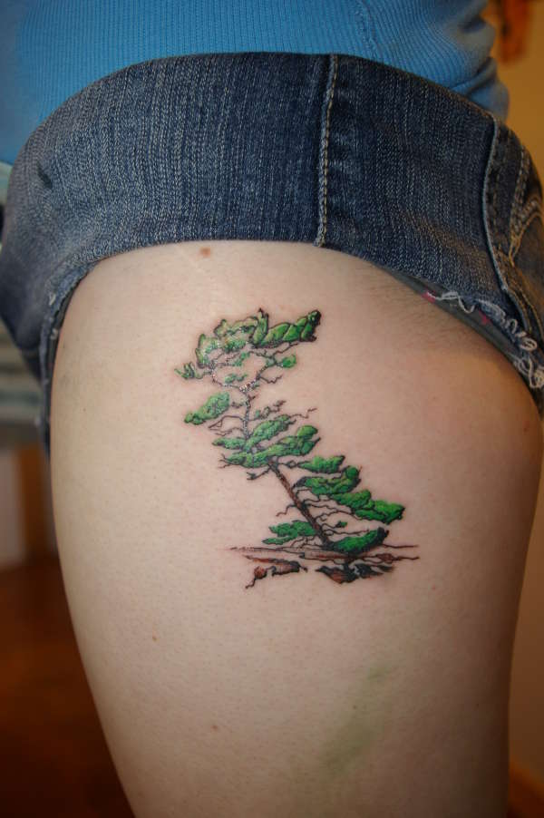 white pine tattoo