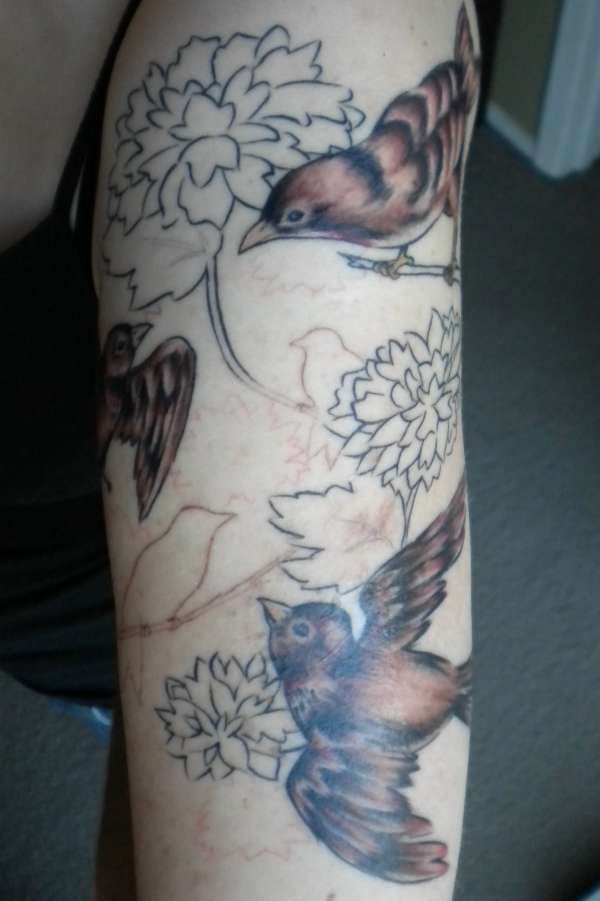 Birds & Flowers (session 2: birds) tattoo