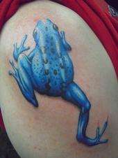 Blue Tree Frog tattoo