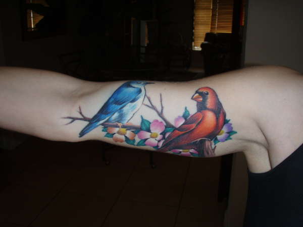 Healed Birds tattoo