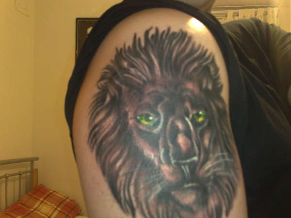 Lion tattoo