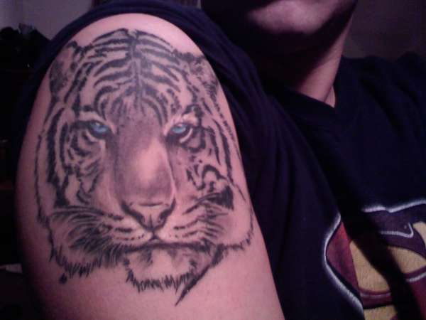 Tiger tattoo upper arm tattoo