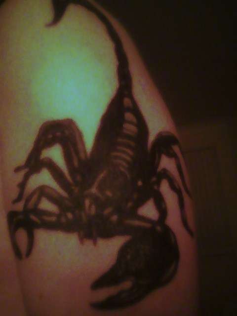 my scorpion tattoo