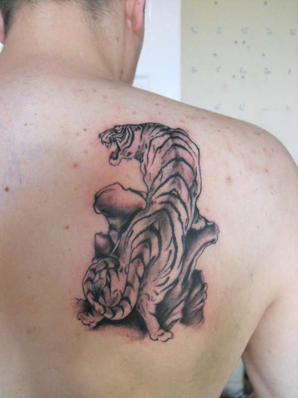 tiger tattoo