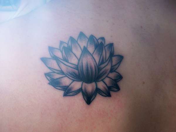 Lotus tattoo