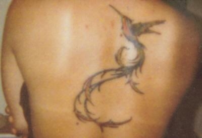 Humming Bird tattoo