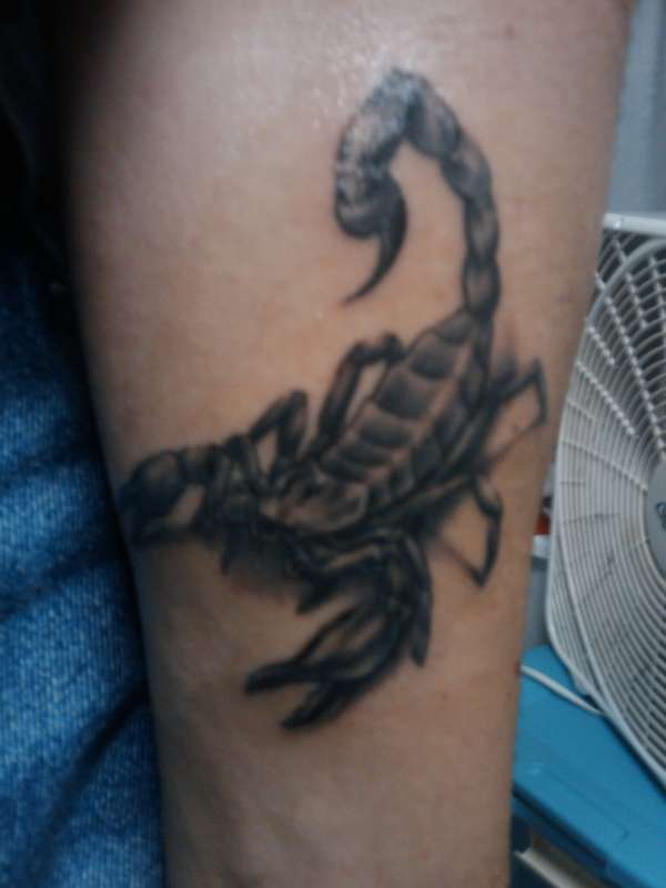 scorpion tattoo