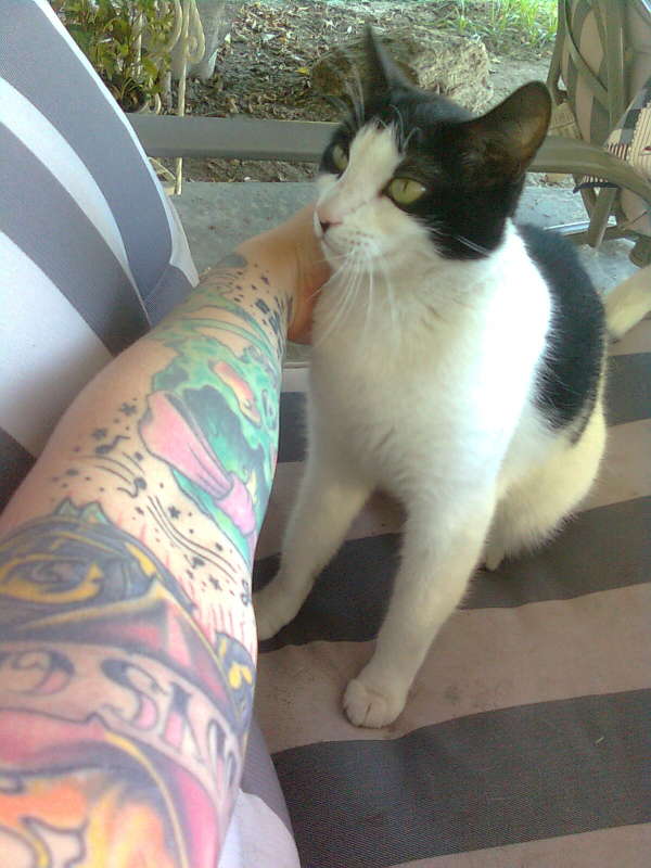 some of my arm tattoo