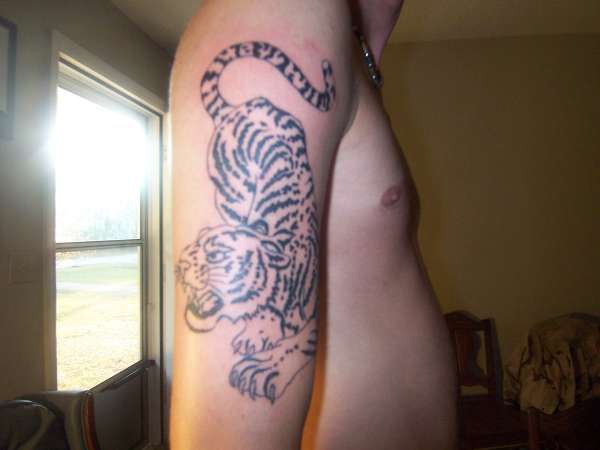tiger tattoo