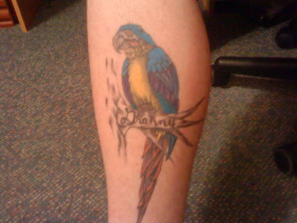 Granny's Parrot on my leg tattoo