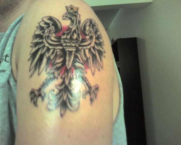 Polish Falcon (Eagle) tattoo