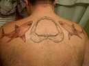 all my sharks tattoo