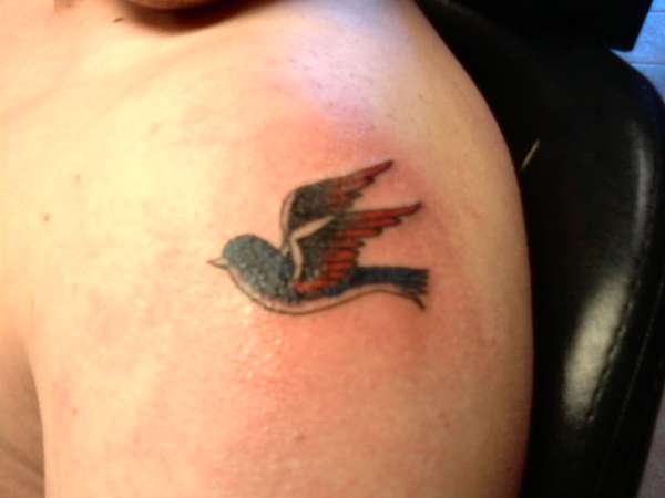 bird tattoo