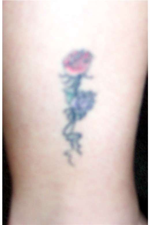 Roses tattoo