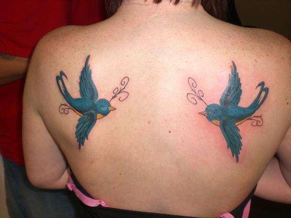 two swallows on my shoulders blades. tattoo