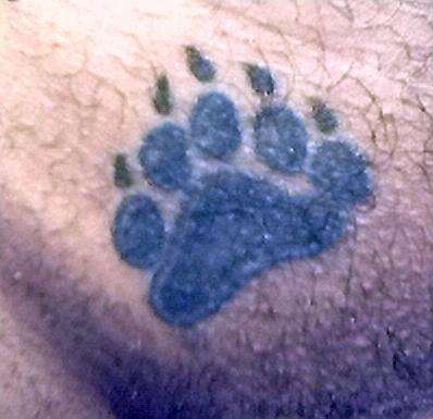 Pubic Bear Paw tattoo