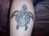 Turtle tattoo