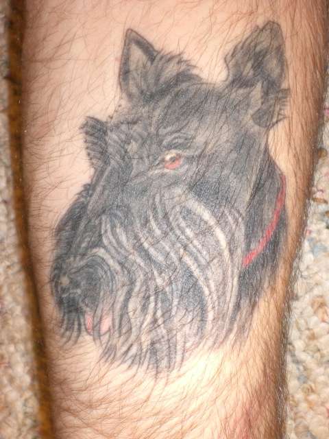 my dog Duncan tattoo
