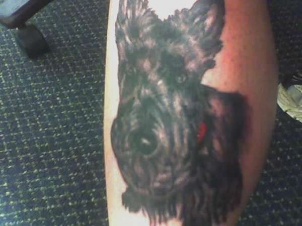 scottish terrier tattoo