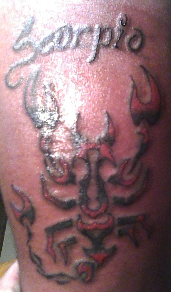 tribal scorpion tattoo