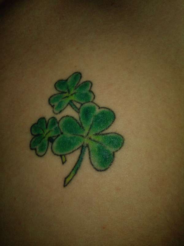 Shamrocks tattoo