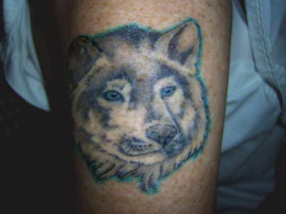 Wolf tattoo