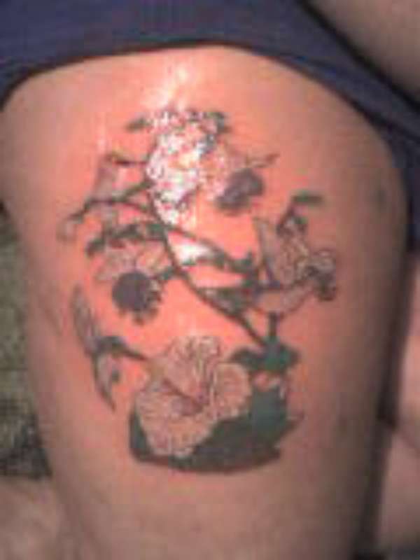 hummingbirds tattoo