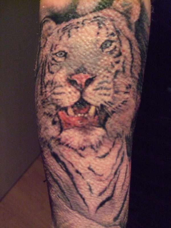 Siberian Tiger tattoo