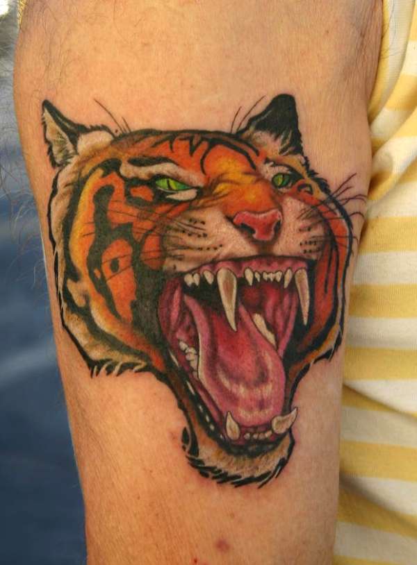 crazy tiger tattoo