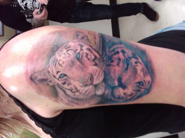 tiger and his reflection tattoo
