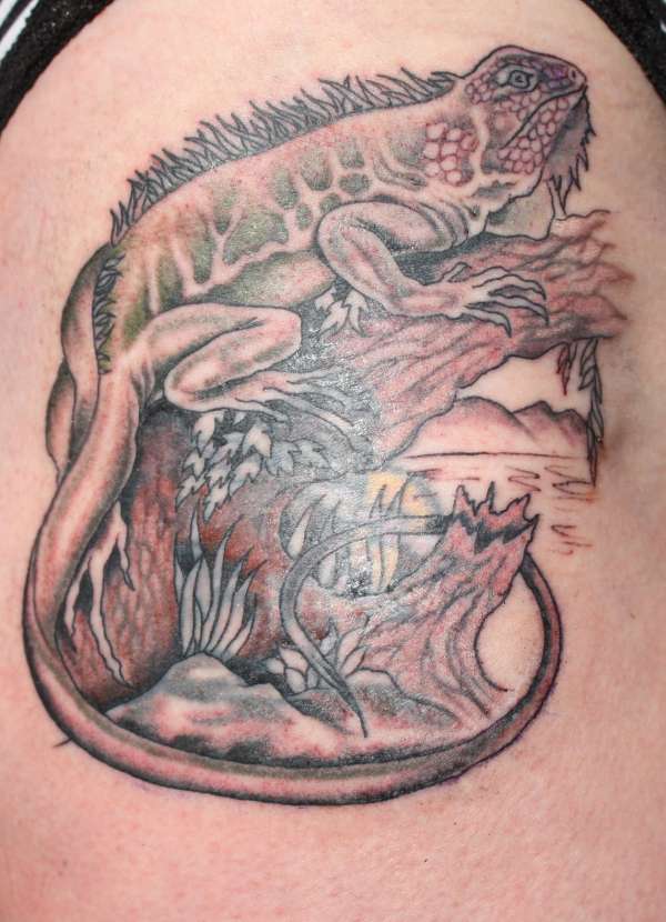 From a wolf ............... tattoo