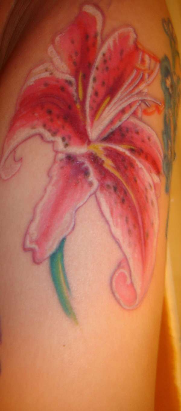 Start of my floral sleeve-stargazer picture 2 tattoo
