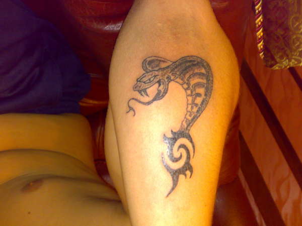 cobra tattoo