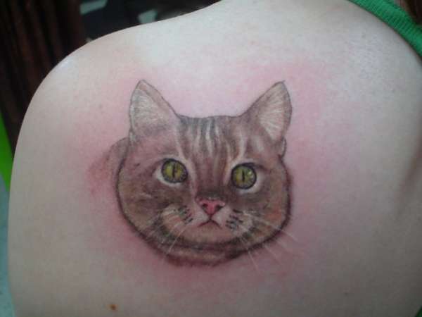 my cat tattoo