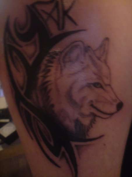 wolf tattoo