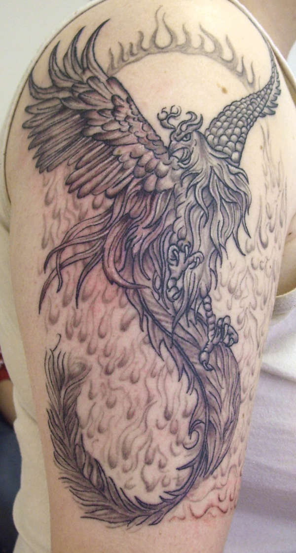 Pheonix Tattoo tattoo