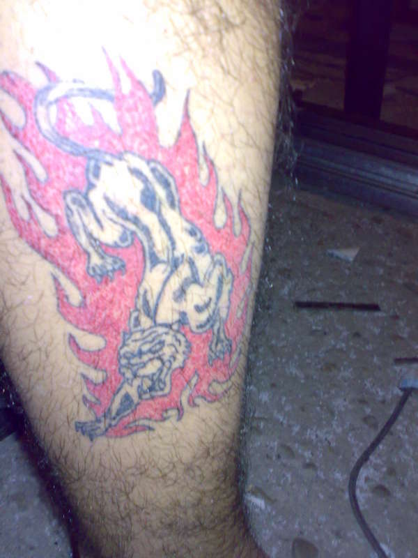 panther tattoo