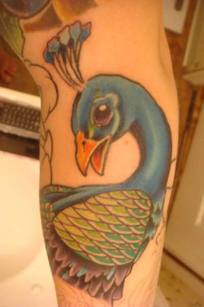 peacock tattoo