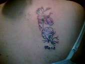 this might be a better pic... tattoo