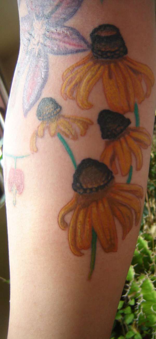 Start of my floral sleeve-Black eyed susans tattoo