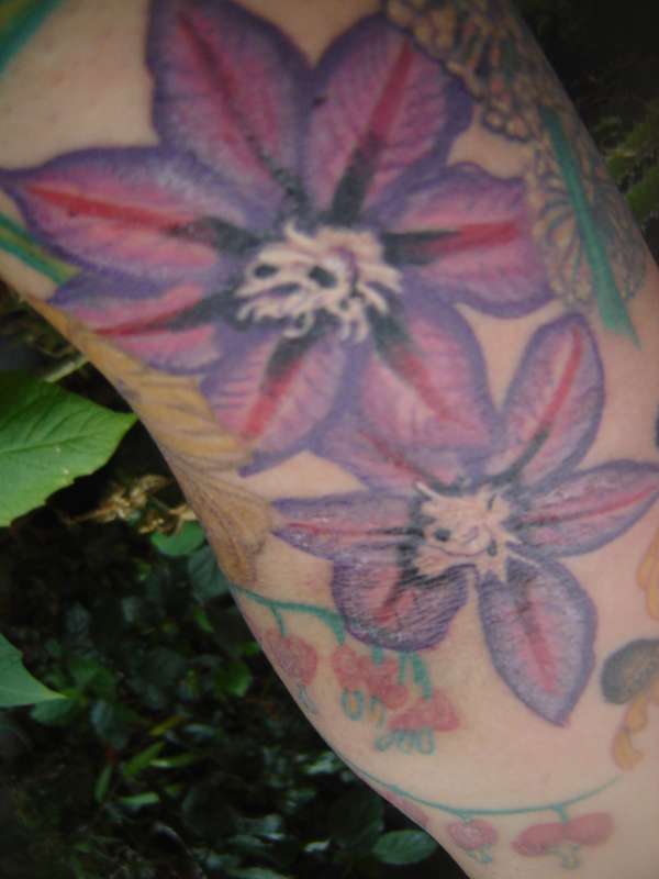 Start of my floral sleeve-Clematis tattoo
