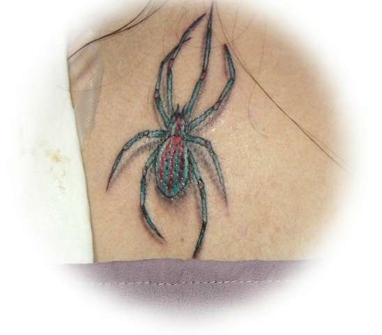 Spider tattoo