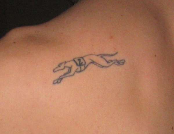 Greyhound tattoo